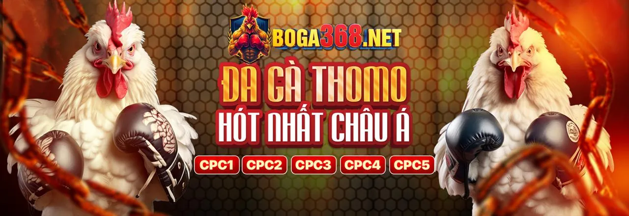 Giao Diện Cá Cược Trực Tiếp K8VN